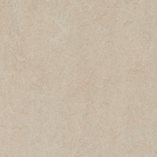 Marmoleum-- CinchLOC Silver Birch